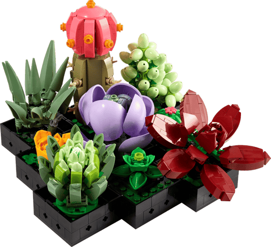 10309 Succulents