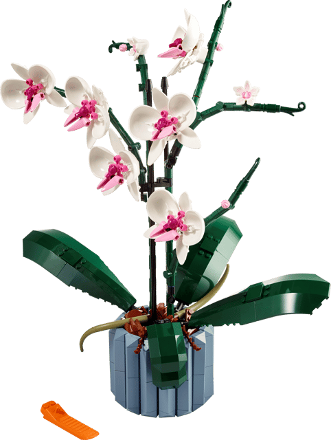10311 Orchid