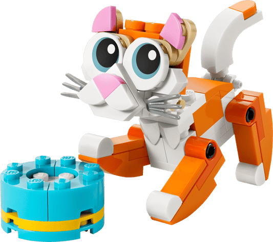 30714 Orange Cat
