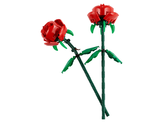 40460 Roses