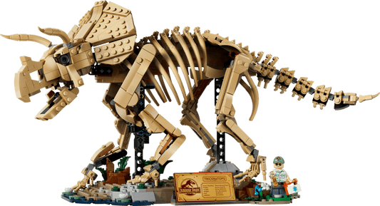 77985 Dinosaur Fossils: Triceratops